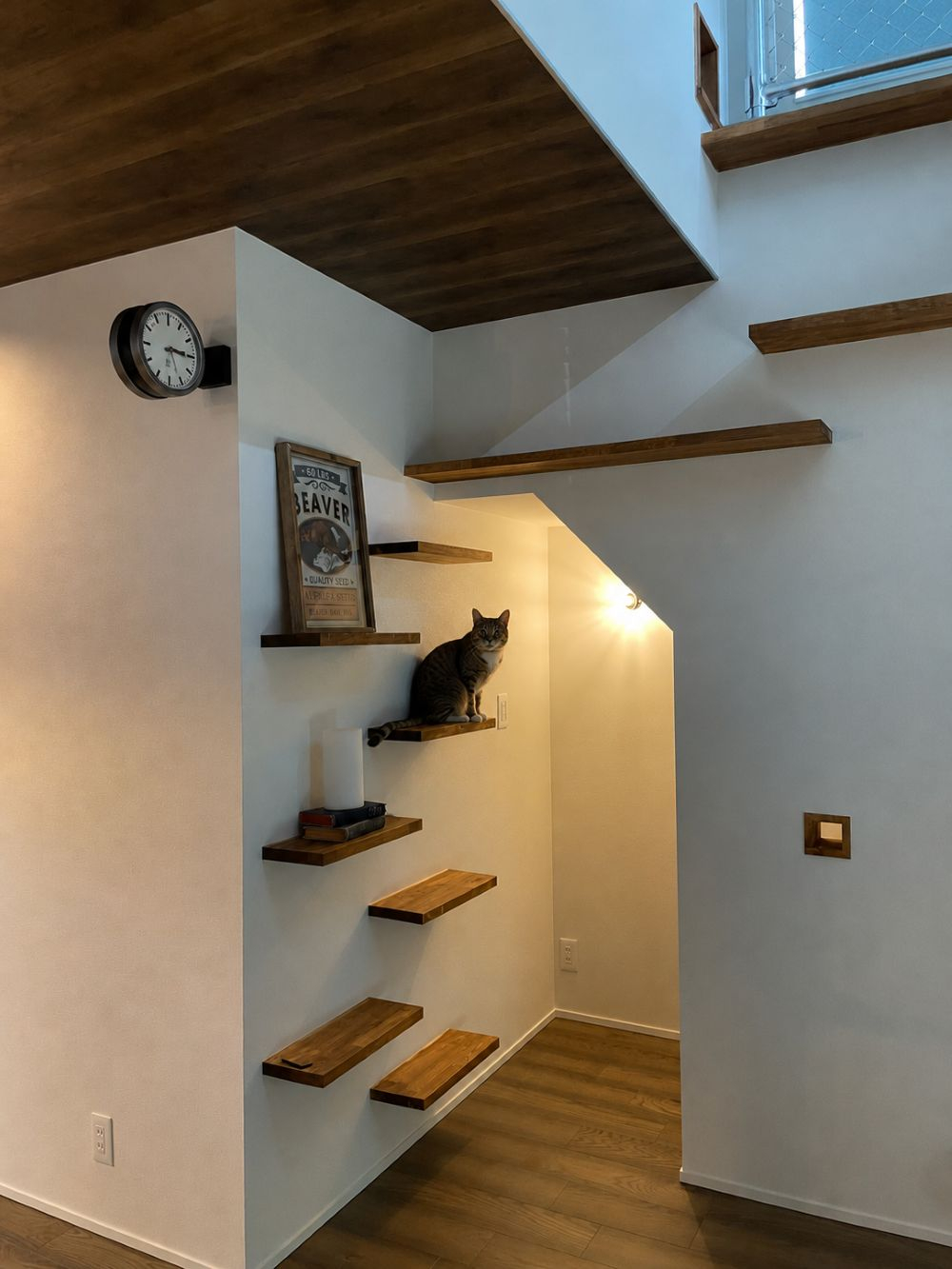 キャットウォーク.jpg