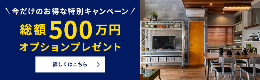 特別キャンペーン総額500万円オプションプレゼント